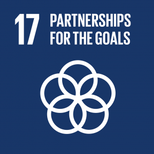 United Nation's Sustainable Development Goal 17 Partnerships for the Goals